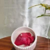 Biological Heart Candle