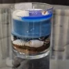 2 Ocean Breeze Candle (M)