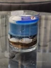 2 Ocean Breeze Candle (M)