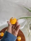 Laddu Candle