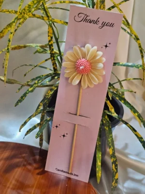 Long Daisy With Card